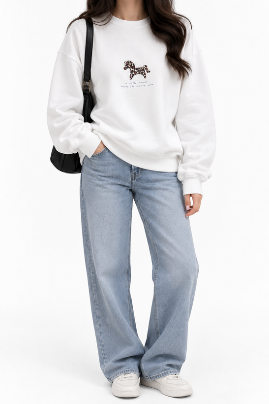 دورس پونی